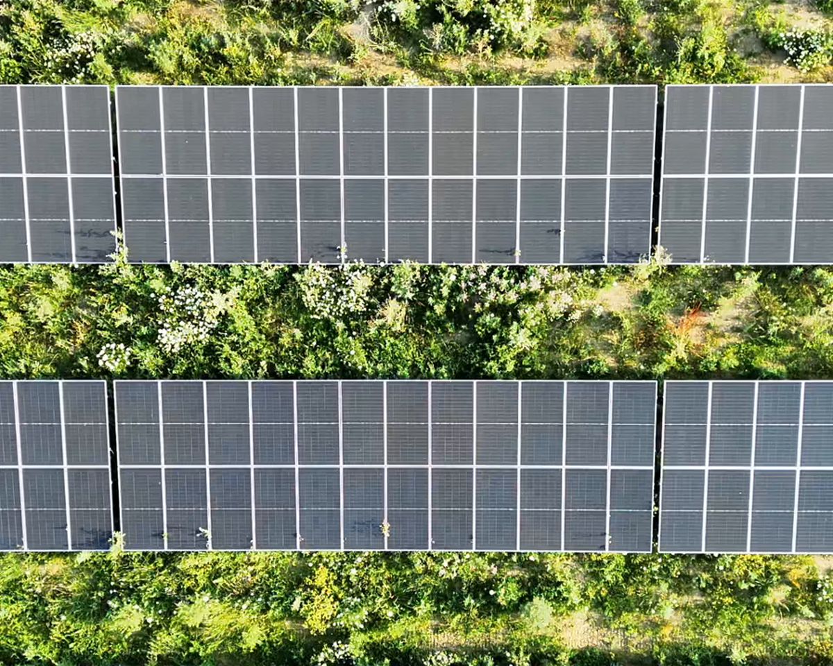 Rangée de panneaux photovoltaïques en image visible