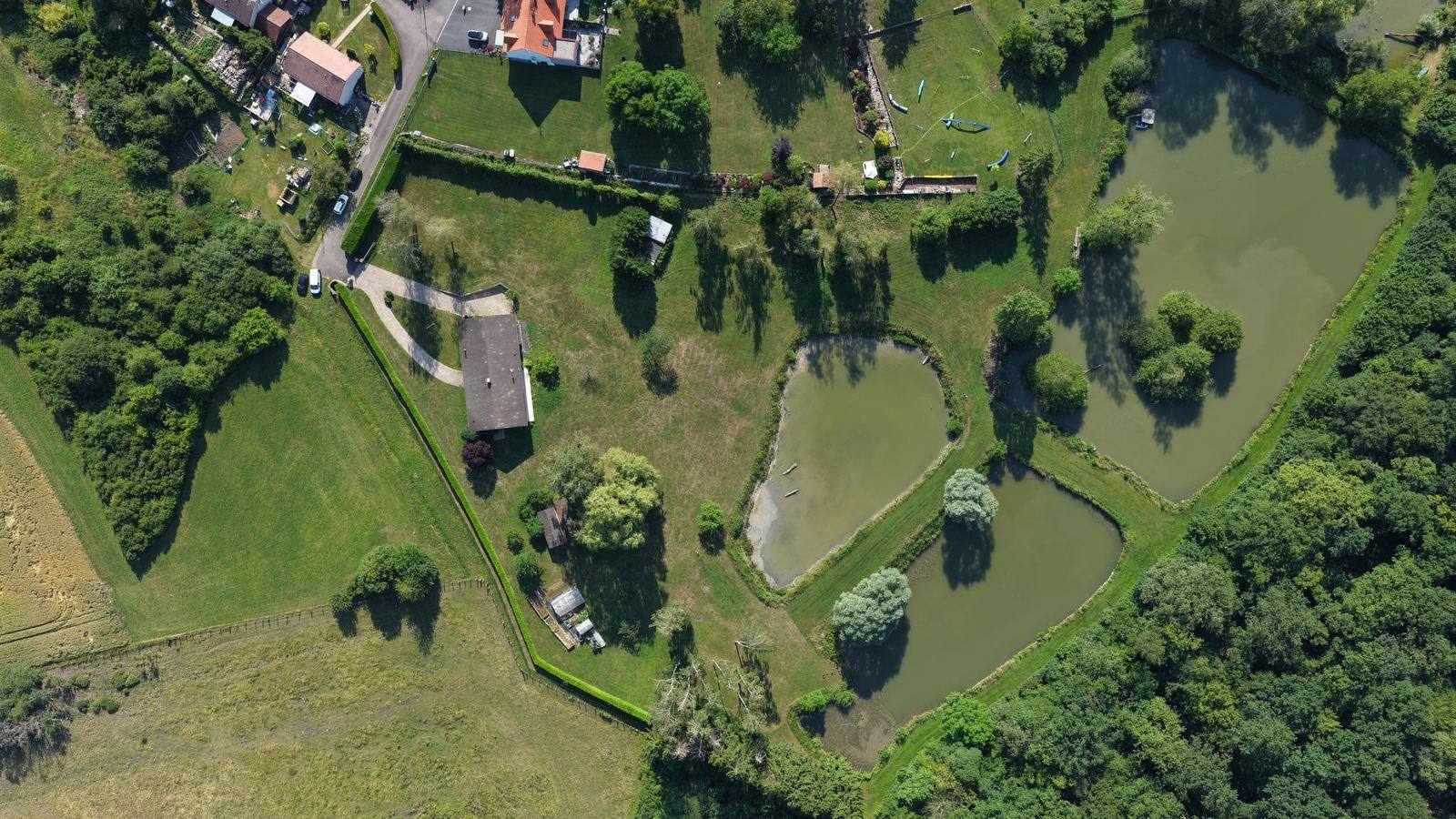 Vue aérienne verticale d'une propriété avec étangs