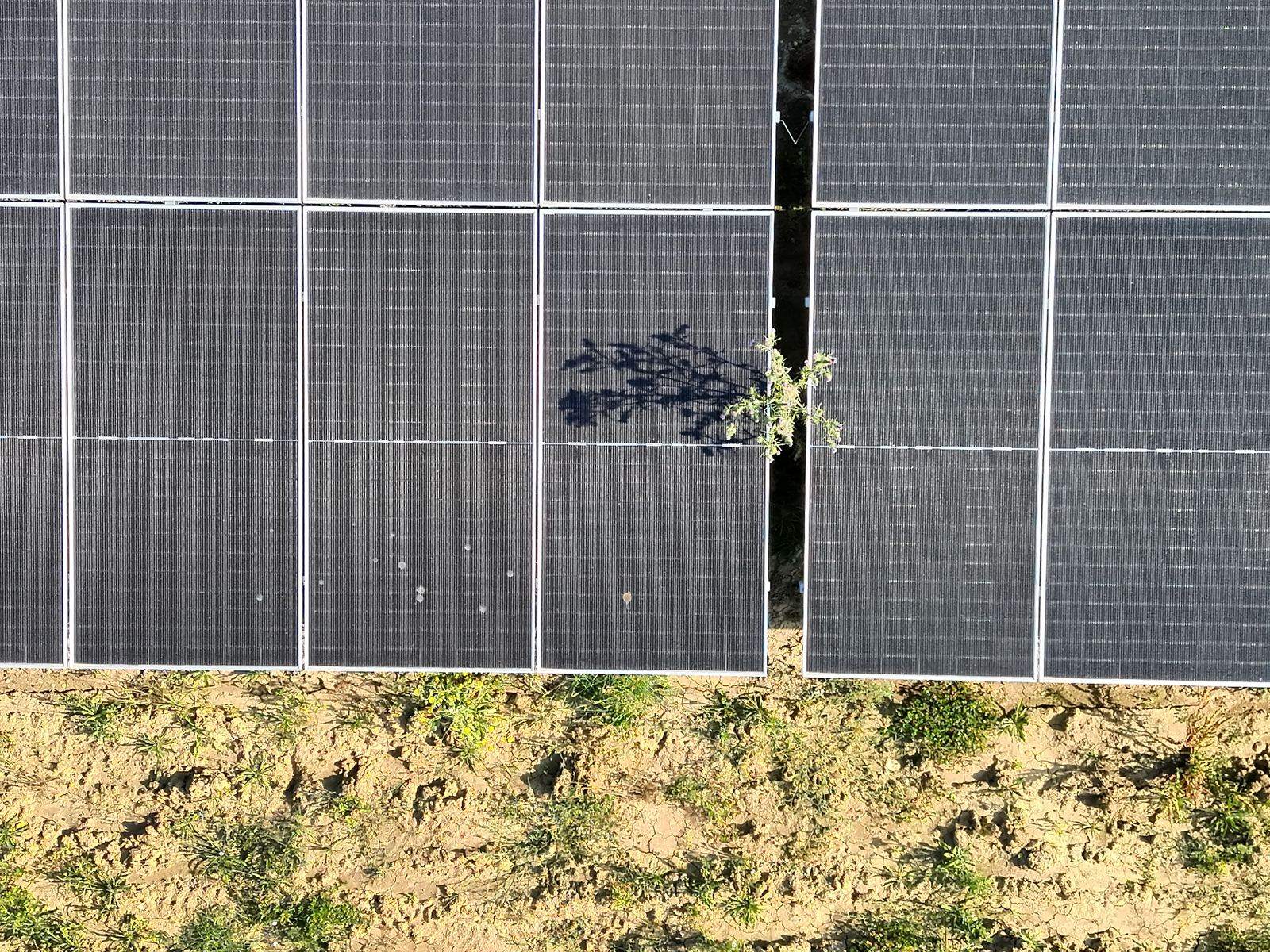 Détail de panneaux photovoltaïques photographiés par le Matrice 4T