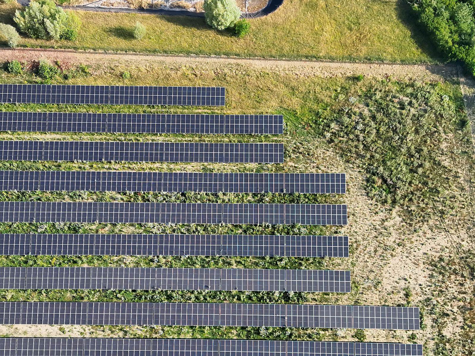 Rangées de panneaux photovoltaïques vues du ciel